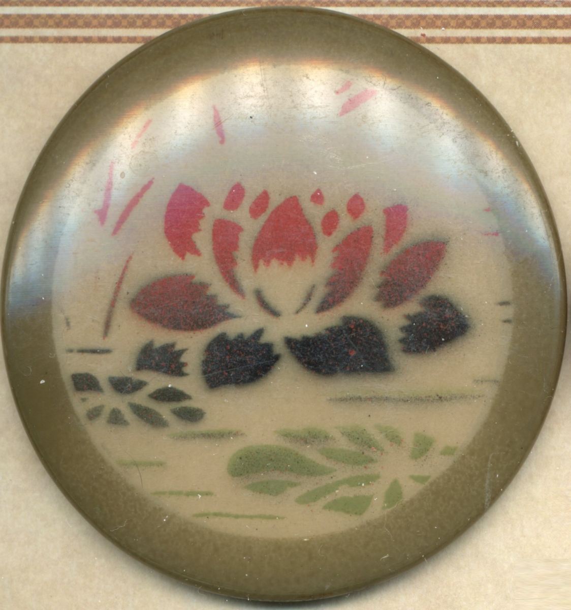Water Lily on Celluloid