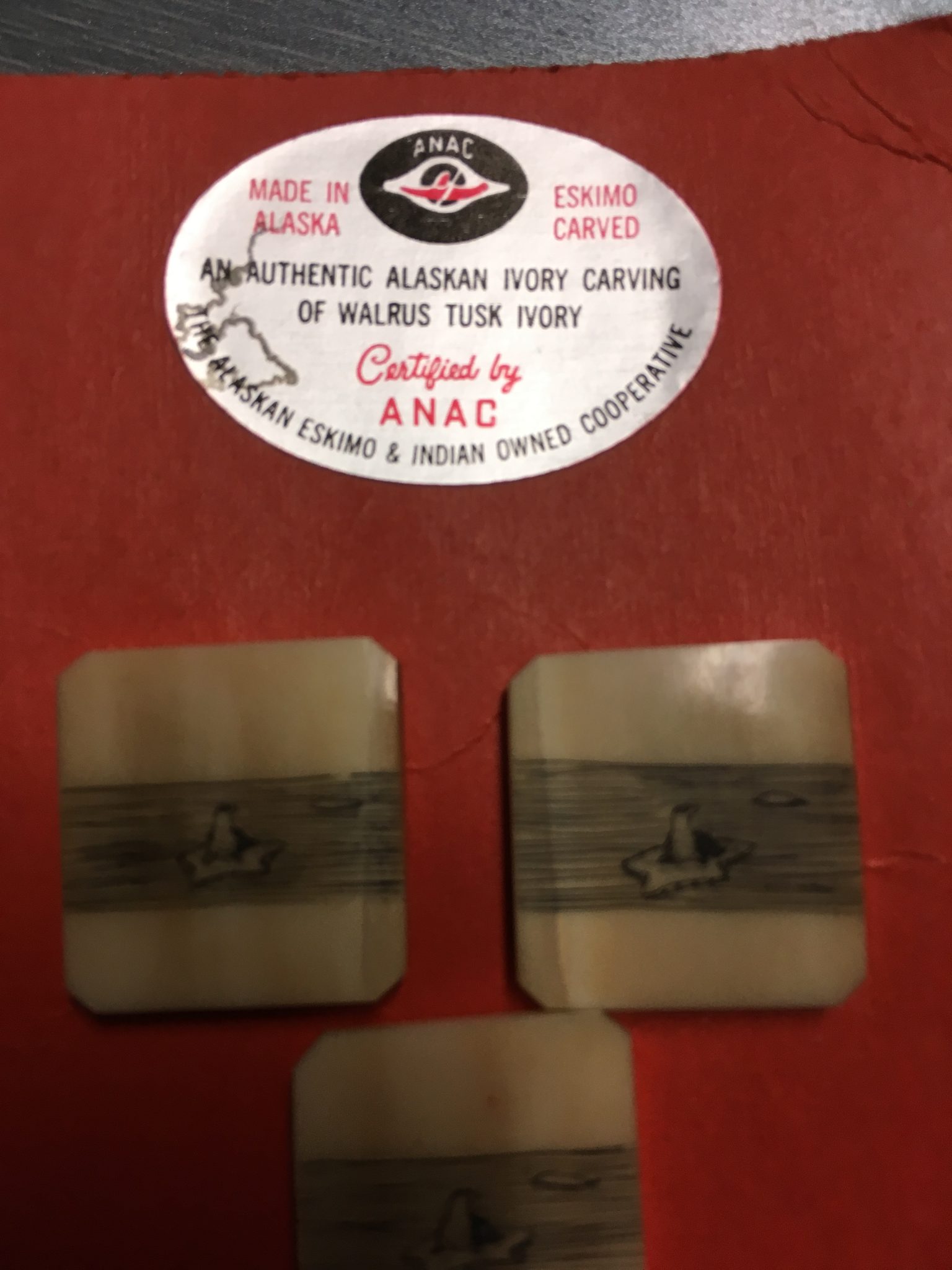 Walrus tusk ivory, label on original card