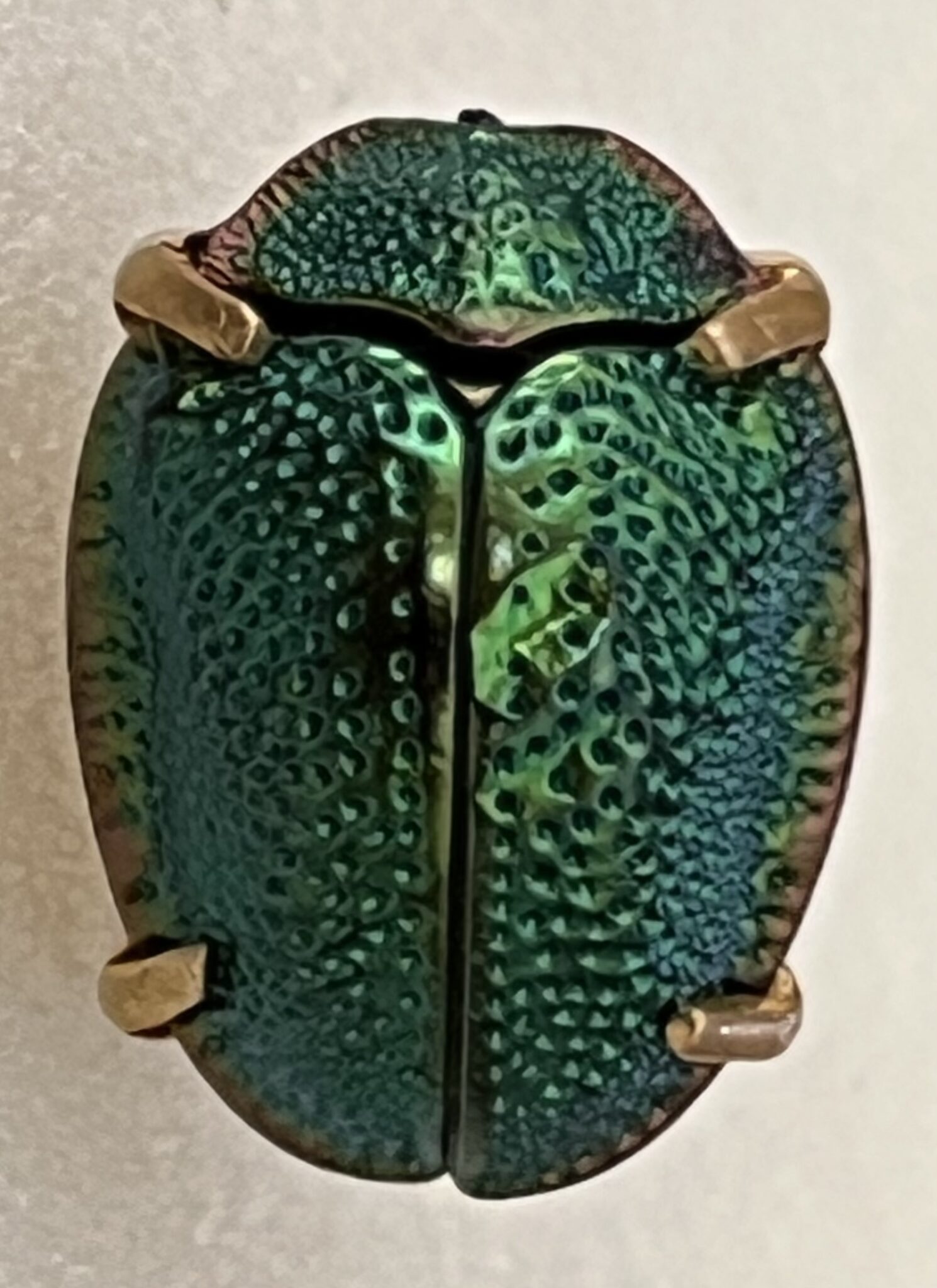 Bug mounted in metal